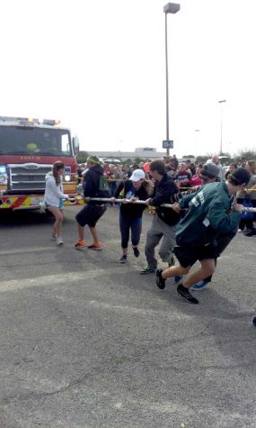 NHS walks for Muscular Dystrophy