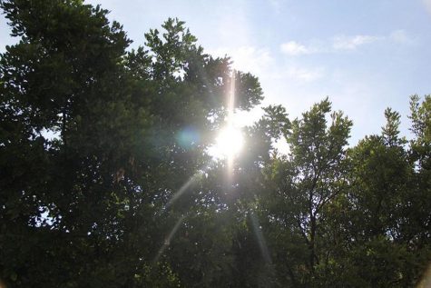 Go get some sun, son