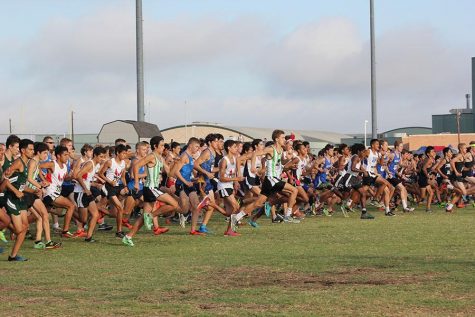 CP’s Cross Country races into a new season