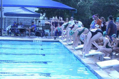 Swim Dives into a New Season