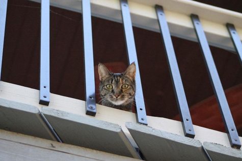 Photojournalism Photo of the Week: Angle