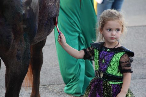 Trunk-or-Treat was Not a Trick