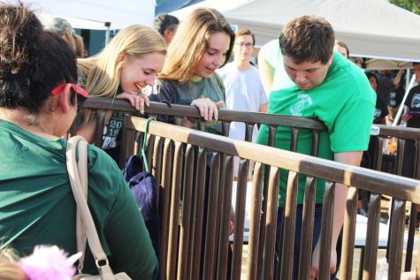 FFA Preview: Competitions to Come, State Ahead