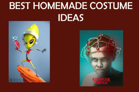 Best Homemade Costume Ideas for Halloween