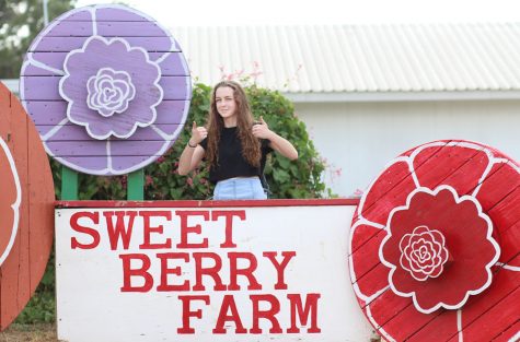 Sweet Berry Farms Review