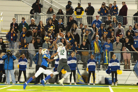 Timberwolves Stomp Panthers 42-21