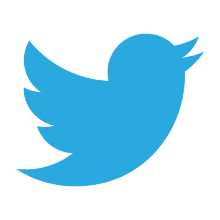 A picture of Twitters logo. On April 13, 2014 @QueenDemetriax_ posted this tweet:@Americanair hello my name is Ibrahim and Im from Afghanistan. Im part of Al-Quida and on June 1rst im gonna do something big bye. She was taken away by the FBI and is facing serious consequences. 