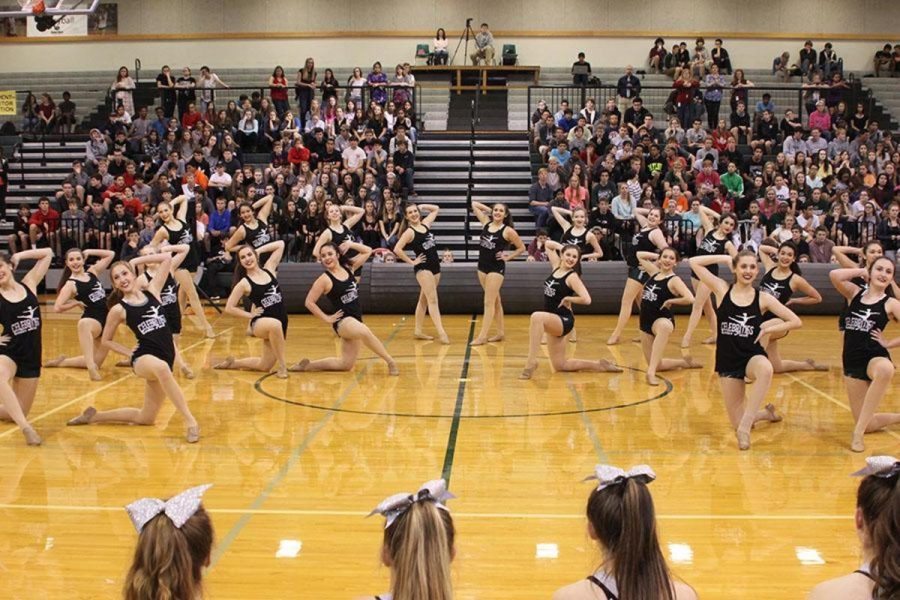Celebrities performed at the pep rally before their competition on Feb. 20. 