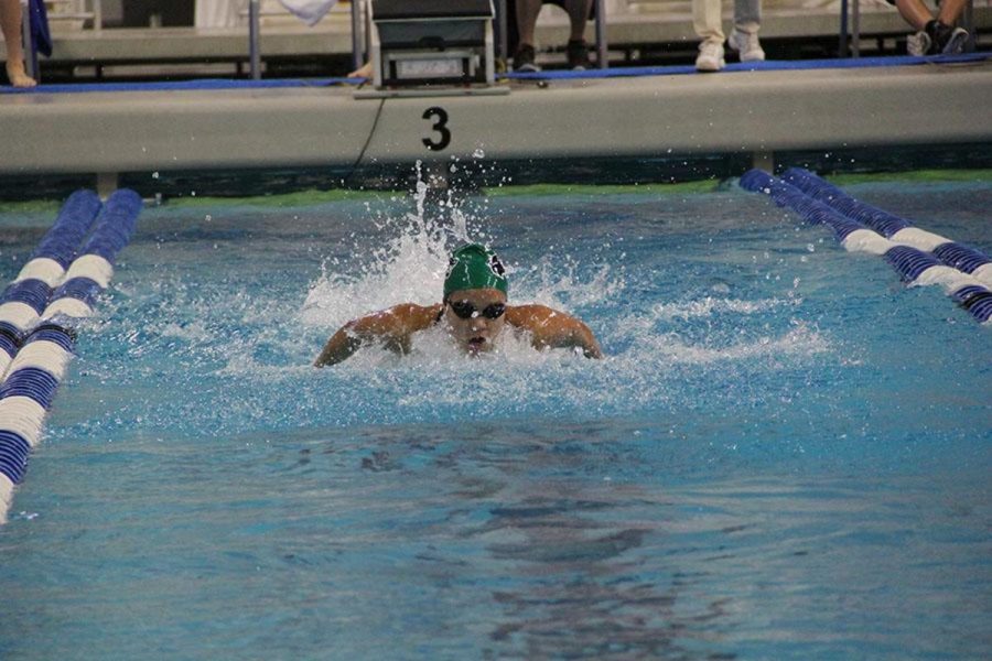 Junior Victoria Sanaikone breaststrokes during the State competition. 