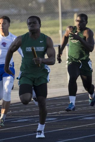 Boys and Girls Track team place at State