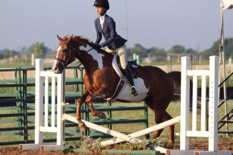 She’s Got Horse Power
