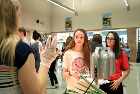 Flavor Fest Feedback Frenzy