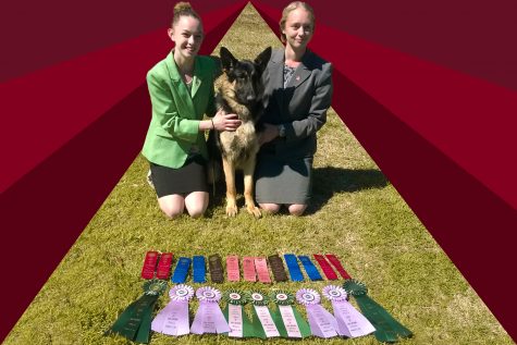 Dog Show Days