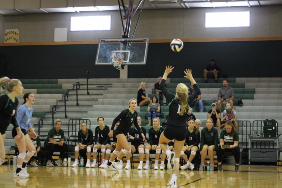Setting the ball, freshman Dylan Gilkey proves her spot on the varsity volleyball team. 
