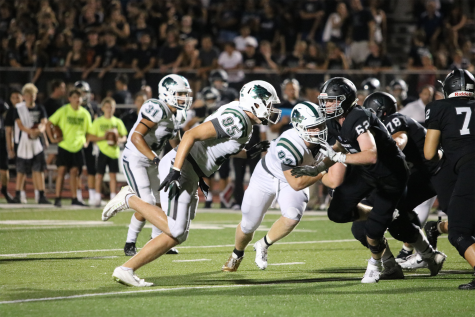 Wolves Fall to Vipers for Second Straight Year