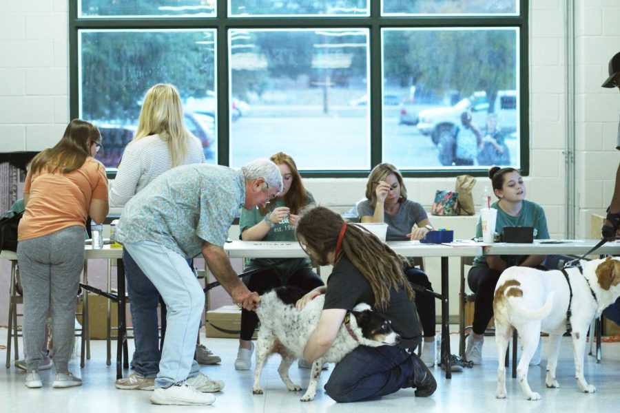 A dog and his owner discuss the vaccine process during the Celebrities Pet Clinic on Nov. 6. The dance team, with help from parent volunteers, held their annual clinic at Cedar Park this year and served pet owners from all over the community.“My favorite part about helping out was seeing the Celebrities in action as they pretty much ran the whole event,” volunteer and parent Kelly Richardson said. “Dr. and Mrs. Tarlton even commented about how helpful and professional our girls were, and they work with lots of organizations to do these clinics.” 