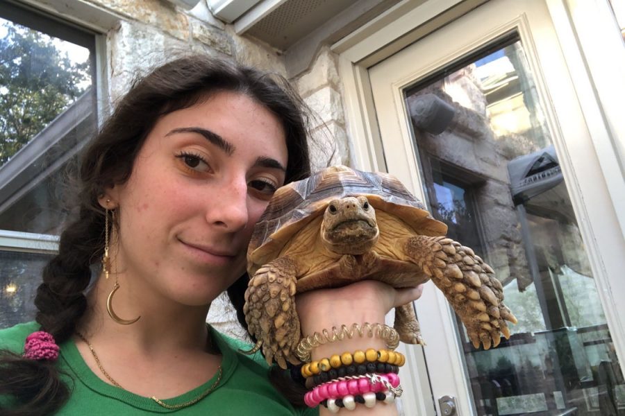 Senior Natalia Peck takes a picture with her pet tortoise, Jenga. According to Peck, animals have always been a love of hers, and she cannot recall ever wanting a job that did not deal with animals, and is currently working in reptile husbandry at the Austin Aquarium.
“I have wanted to work at the aquarium since I was thirteen,” Peck said. “I wasn’t old enough to work there until I was sixteen last year. I met a really good friend of mine who was working there, and she took me to my first interview there. I wouldn’t have been brave enough to get that job on my own. I work in reptile husbandry, so I take care of the cold blooded reptiles, which are one of my favorite things ever.
