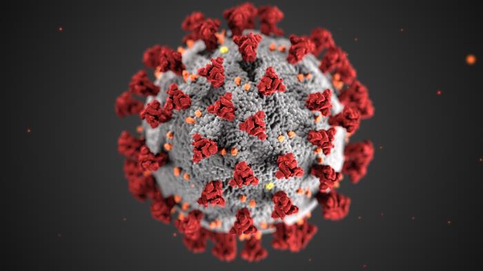 This is a 3-D rendering of what COVID-19 looks like under a microscope. The spikes along the viruses membrane are what allows it to attach to cells.