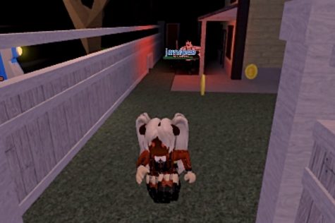 Rave Of Roblox The Wolfpack - killer game roblox