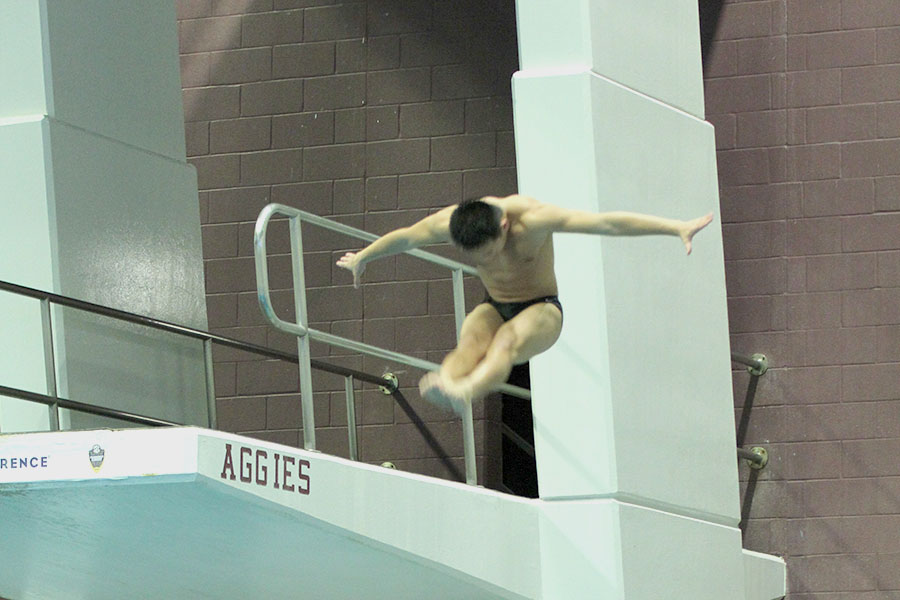 Pierce Brooke dives at the 2020 regional swim and dive meet. Brooke began diving seven years ago because of his interest in swimming and gymnastics. I really like that diving keeps me in shape, Brooke said. Other than that my favorite part is the amazing friends I make.