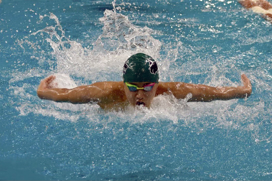 Eyes forward and head out of water, junior Thomas Wu competes at the 5A state championships in February. Wu made it to the finals for the 100yd butterfly and 100yd breaststroke events.  “Breaststroke has always been my best and favorite strokes since I started swimming, and I have spent a lot of time and effort working on it,” Wu said. “For the past year or so, Ive also been trying to expand my horizons and improve my other events. For example, last year I really focused on the 100 butterfly and I improved a lot finishing fourth at the state championships.”