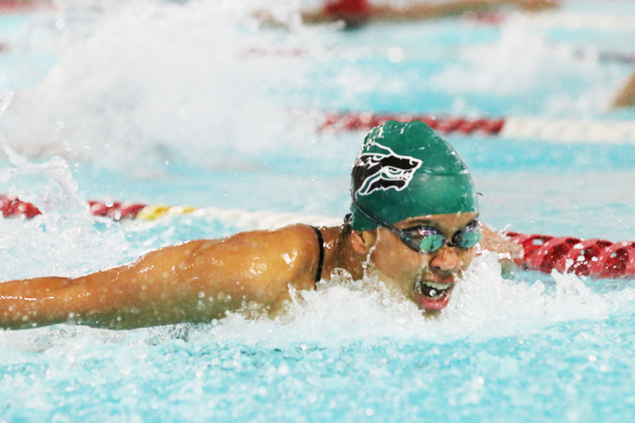 Swimming her way to the finish line, senior Stella Shipps competes at the Belton swim meet on Dec. 16. Shipps has been swimming since she was nine and enjoys the sport to this day. “[Swimming] gives me the opportunity to do one of the things I love the most,” Shipps said. “[Through swimming] I am able to improve something about myself every day.”