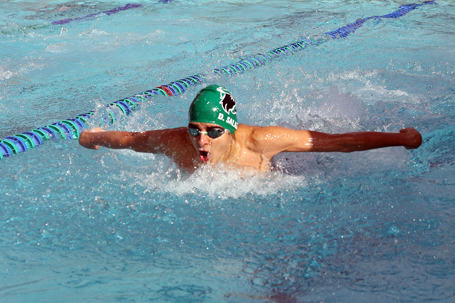 Senior+Diego+Salazar+Lopez+competes+in+the+50+yard+butterfly+on+Nov.+5+at+the+Leander+and+Gateway+Tri+Meet%2C+where+he+won+fourth+place+out+of+22+other+boys.+Salazar+is+one+of+the+top+swimmers+in+the+boys+division%2C+and+one+of+the+qualifiers+for+the+Texas+Interscholastic+Swim+Coaches+Association+meet.+Since+freshman+year%2C+it+feels+that+I+have+received+more+respect+than+how+I+was+my+previous+years%2C+more+trust+in+the+team%2C+and+more+relaxed%2C+Lopez+said.+I+feel+as+though+I+have+improved+greatly+each+year.+I%E2%80%99ve+gotten+faster+and+stronger+physically%2C+emotionally%2C+and+mentally.