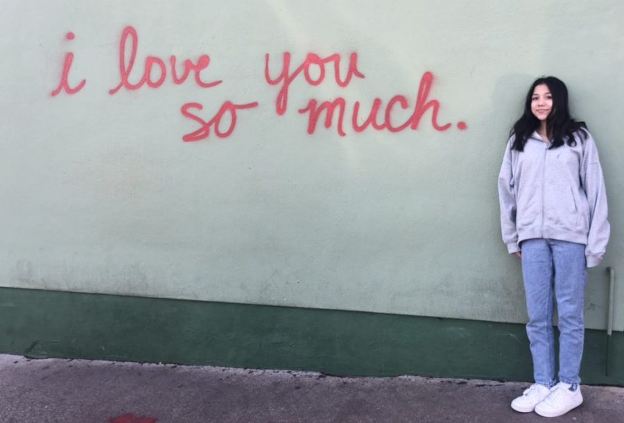 I feel the “i love you so much” mural is famous for being one of the most photographed places in Austin. People visit Jo’s coffee, where the mural is located on South Congress, to take pictures with it every day. I enjoyed visiting the mural again, and even though it is a simple mural it is also my favorite mural in Austin. 