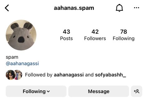 Reporter Aahana Mulchandani’s spam account is displayed, showing a variety of posts, from details of her recreational life to her school life. Such spam accounts fall under the category of fake instagram accounts, or FINSTAS, and affect FOMO by increasing engagement with social media due to the daily amount of posts that users get to their feeds. “Sometimes, I find myself scrolling endlessly through social media purely because I follow a lot of accounts that post funny content,” Mulchandani said. “It definitely increased my addiction to social media and especially with the pressure of upkeeping a spam account.”