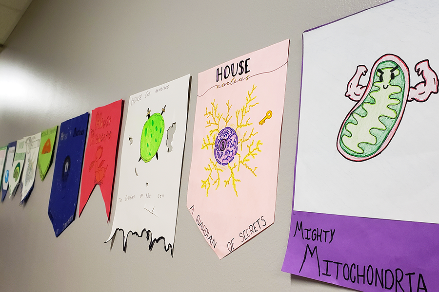 Displaying a cell organelle of the body, game-of-thrones-style posters line the science building hallways. For this assignment, students were required to write a poem about the functions and interactions of their organelle in addition to the drawing on the front of the banner. They had the option of writing the poem through ChatGPT or writing it by themselves. “I don’t want students to use AI anytime it replaces their own thinking,” Kalenak said. “Recently we used it and I allowed students to use it to help them creatively, but they had to know the content behind it. I think there are ways we can use it without sacrificing our own brain use.”
Photo courtesy of Kaydence Wilkinson