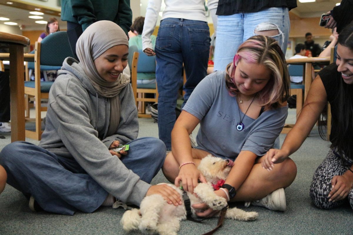 Petting Judy Schwartz’s poodle, Pippi, sophomores Liliana Minton and Aroua Beraoud spent their lunchtime with therapy dogs. As of May of last year, Pippi is a certified trainer dog who was also a rescue. “I specifically looked in a bunch of rescues to find a dog that had the temperament to do this kind of thing,” Schwartz said. “With a rescue, the dog hasn’t necessarily been treated all that well before they come in. “[It’s] not so easy to find [dogs to train].” 
Photo by Allie Tseng