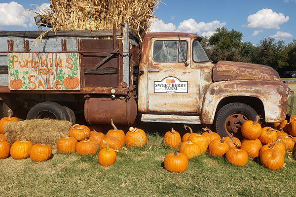 Proudly displaying the Sweet Berry Farm logo and the ‘pumpkins for sale’ sign, a rusty truck sits in the middle of the pumpkin patch. This is one of many photo opportunities at Sweet Berry Farm for both children and adults alike.