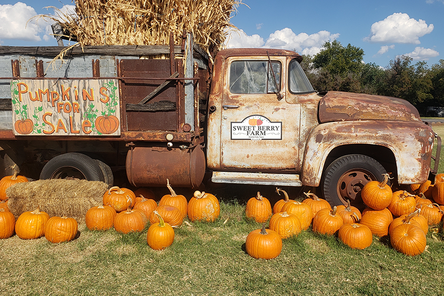 Proudly displaying the Sweet Berry Farm logo and the ‘pumpkins for sale’ sign, a rusty truck sits in the middle of the pumpkin patch. This is one of many photo opportunities at Sweet Berry Farm for both children and adults alike.
Photo courtesy of Kaydence Wilkinson